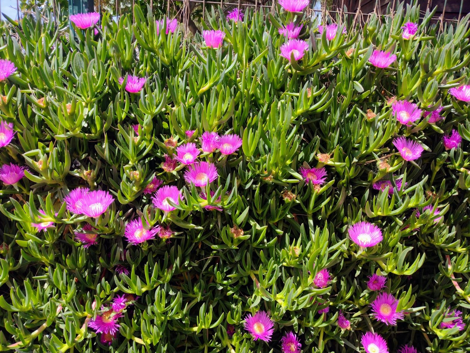 IMG_20220426_133112817_HDR