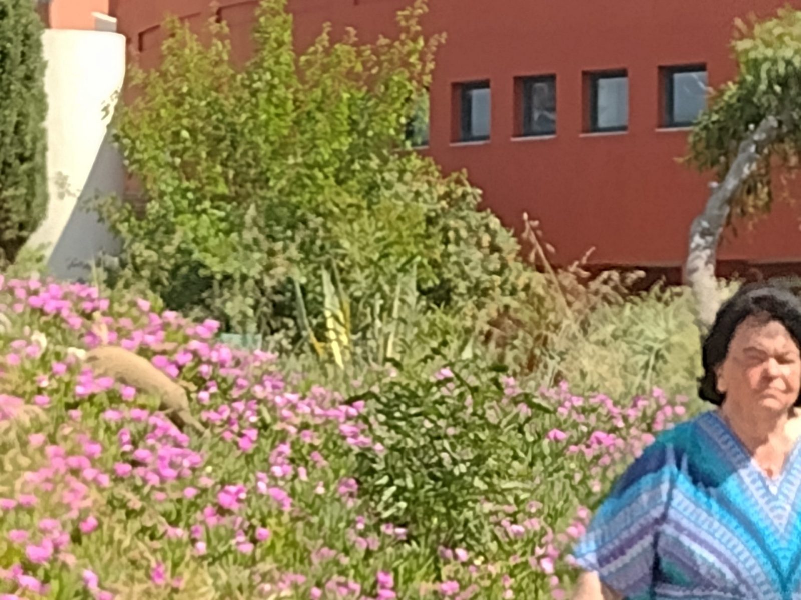 IMG_20220428_104134332