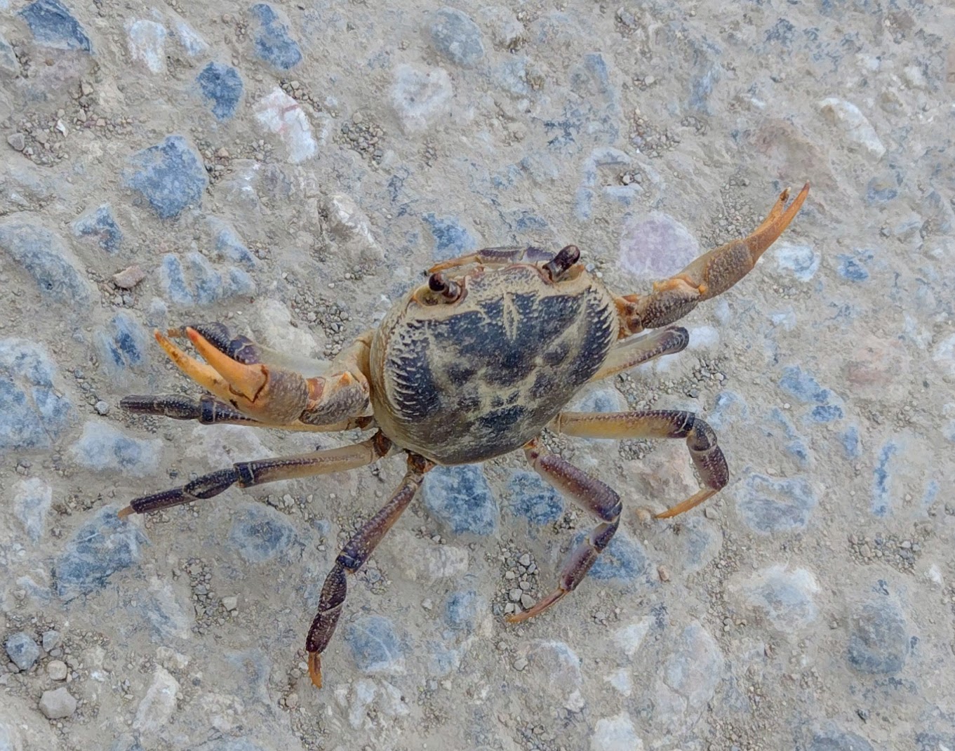 IMG_20220502_120220895_MP