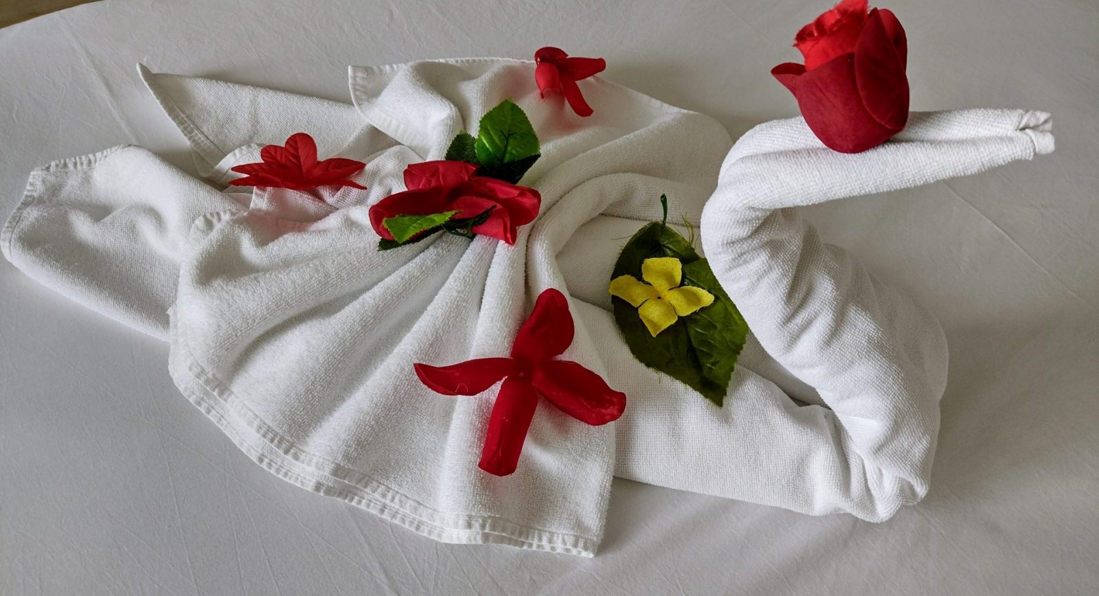 IMG_20220503_180503164_HDR