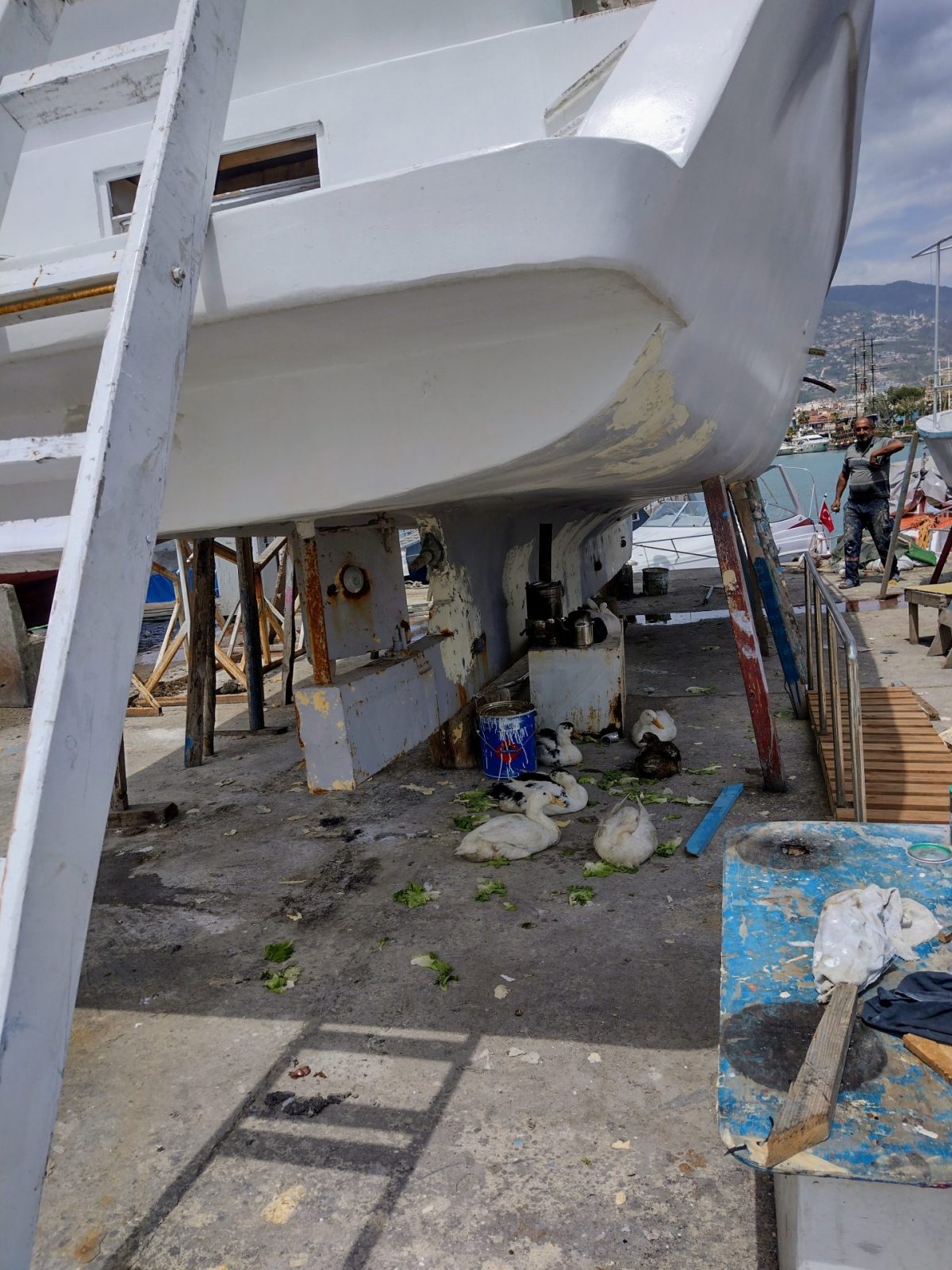 IMG_20220505_123922345_HDR