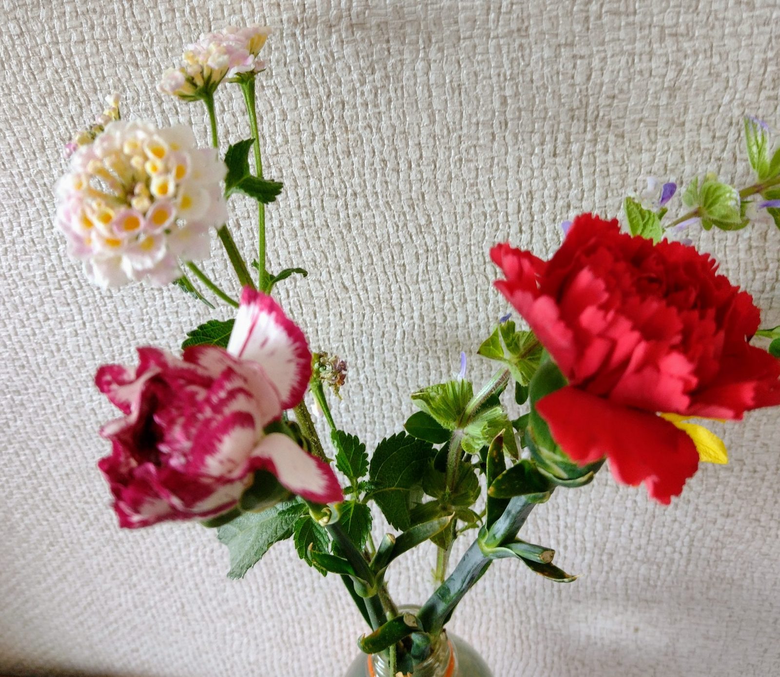 IMG_20220508_093353206