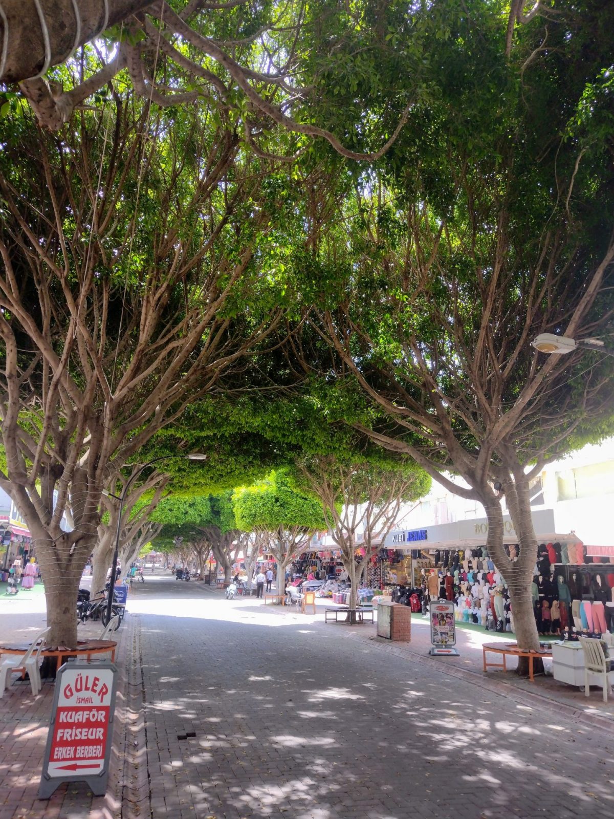 IMG_20220513_113329337