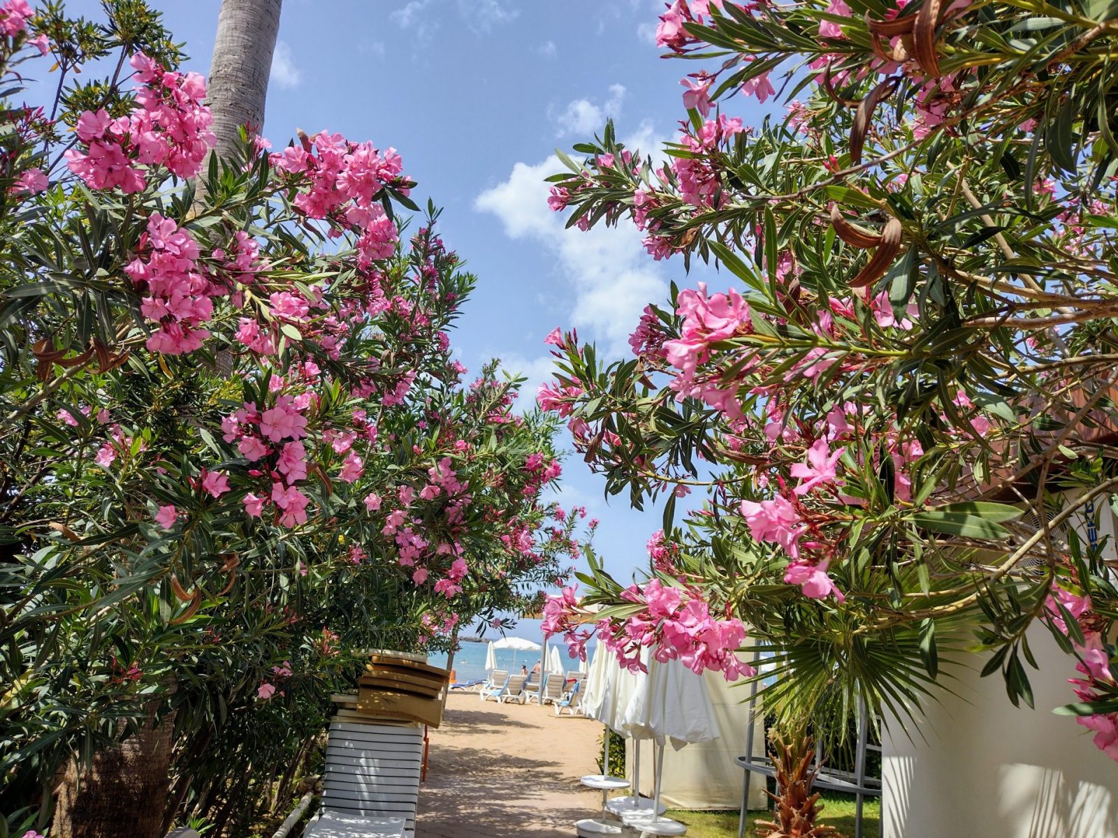 IMG_20220514_111134074_HDR