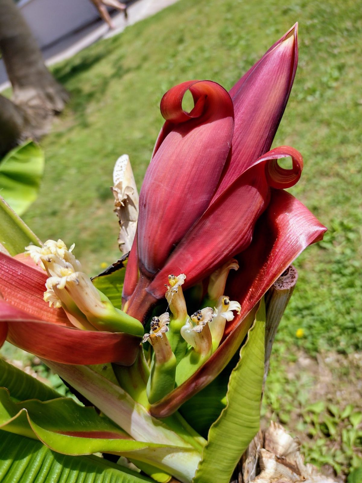 IMG_20220514_111429061_HDR