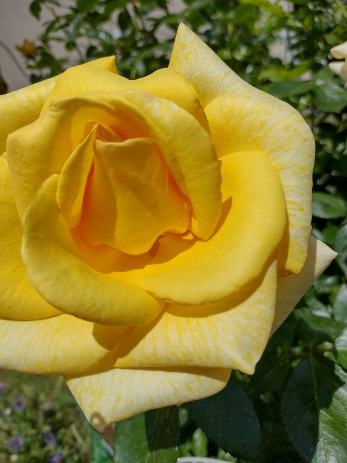 IMG_20220519_121144044_HDR