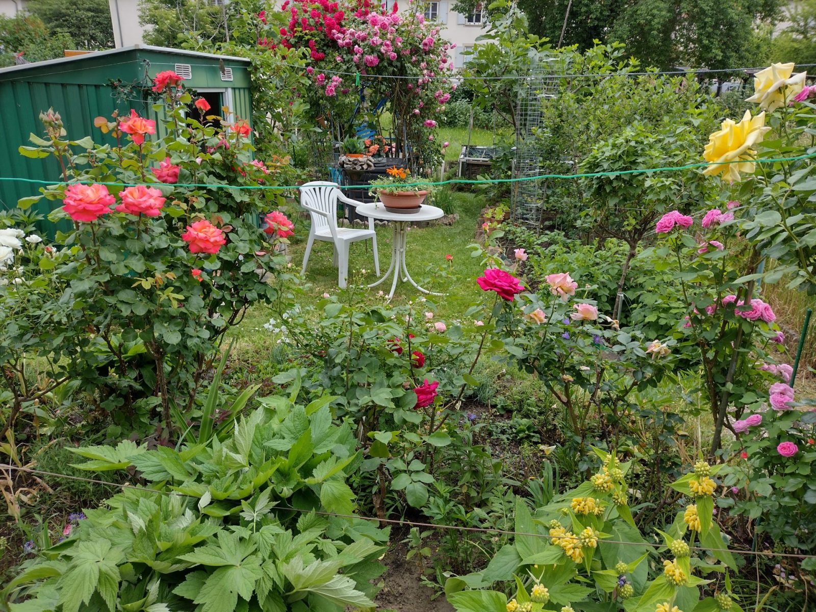 IMG_20220526_123212400_HDR