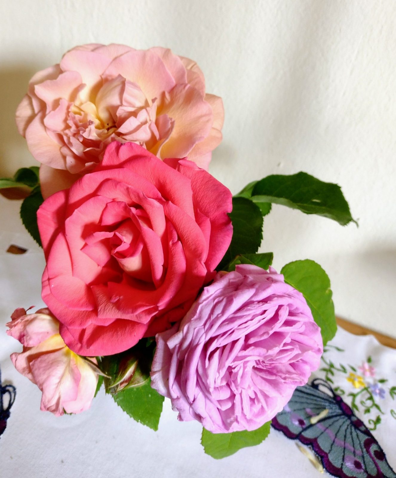 IMG_20220528_092220404