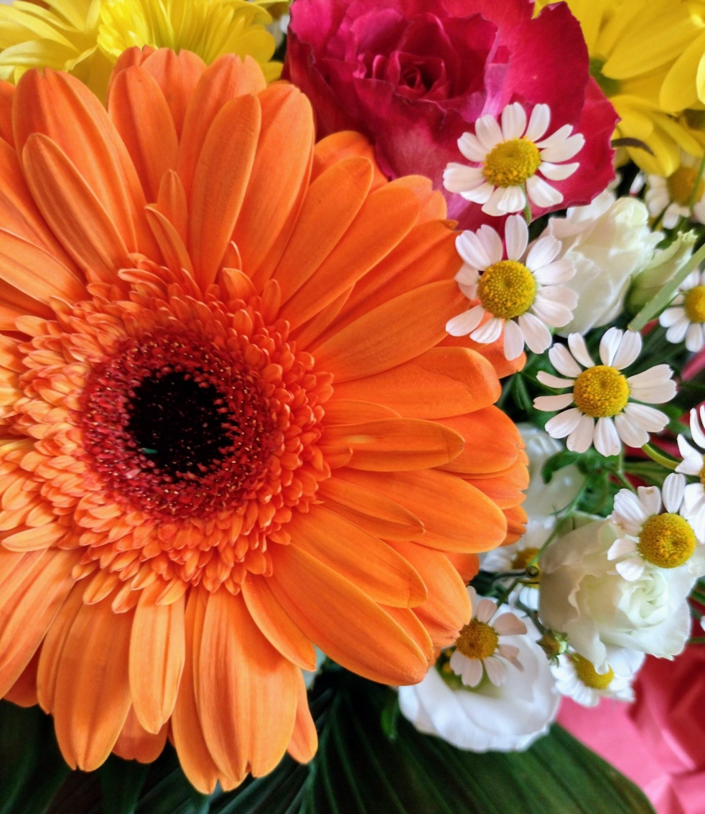 IMG_20220608_071137389_HDR