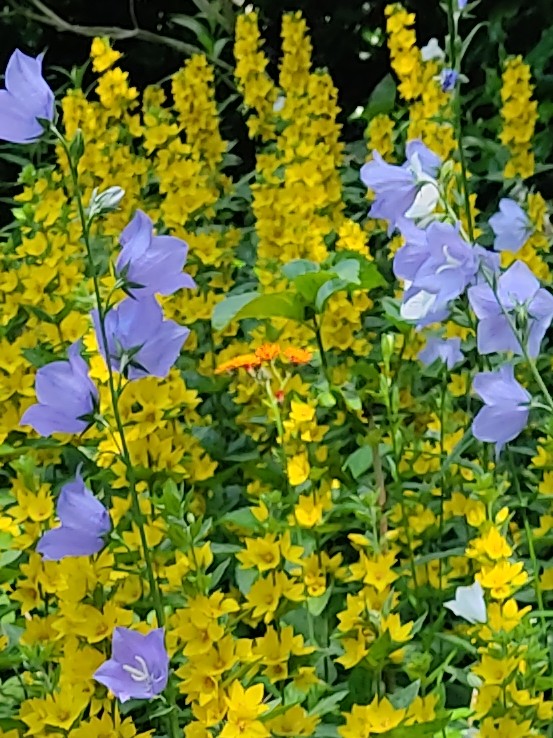 IMG_20220621_113557~2