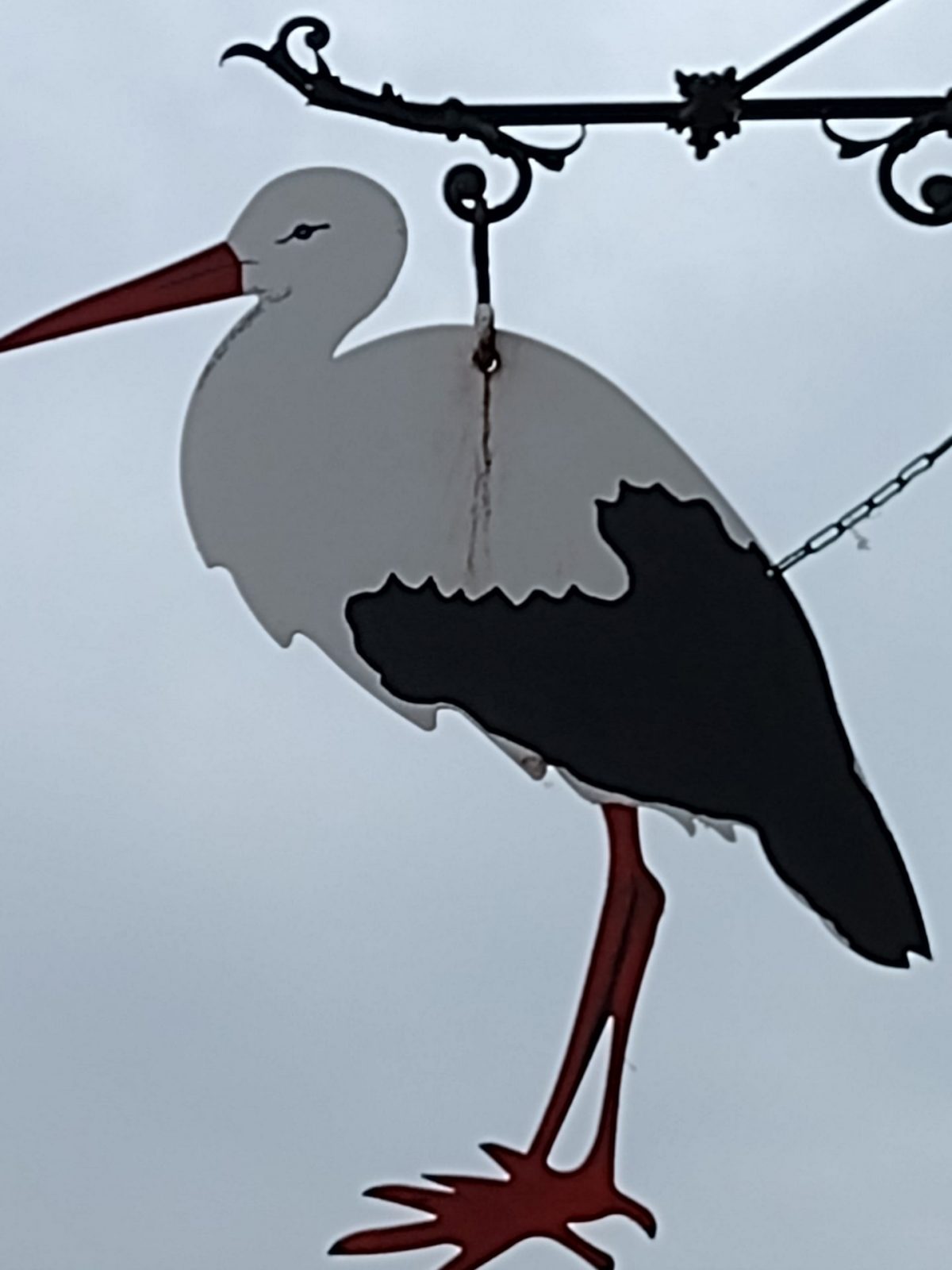 IMG_20220622_131607959_MP