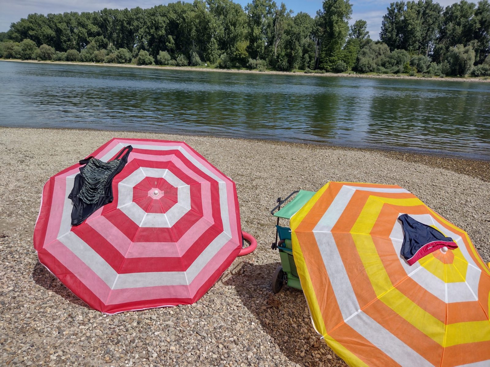 IMG_20220713_114925158_HDR