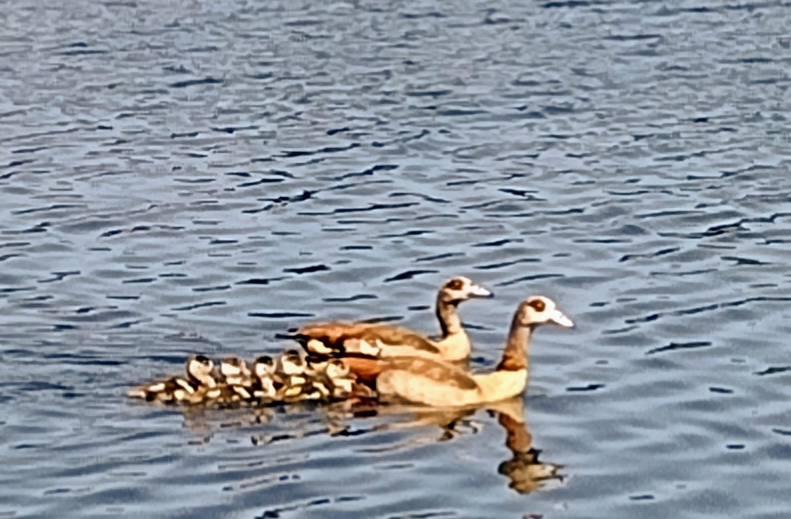 IMG_20220719_113508905