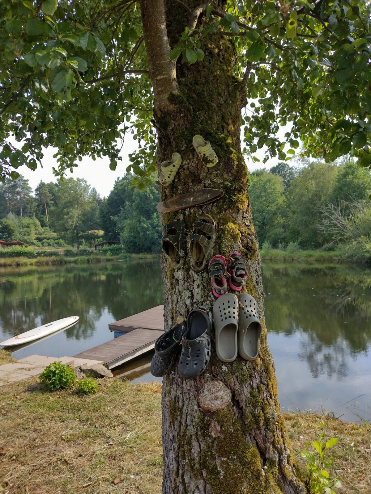 IMG_20220720_170003542_HDR