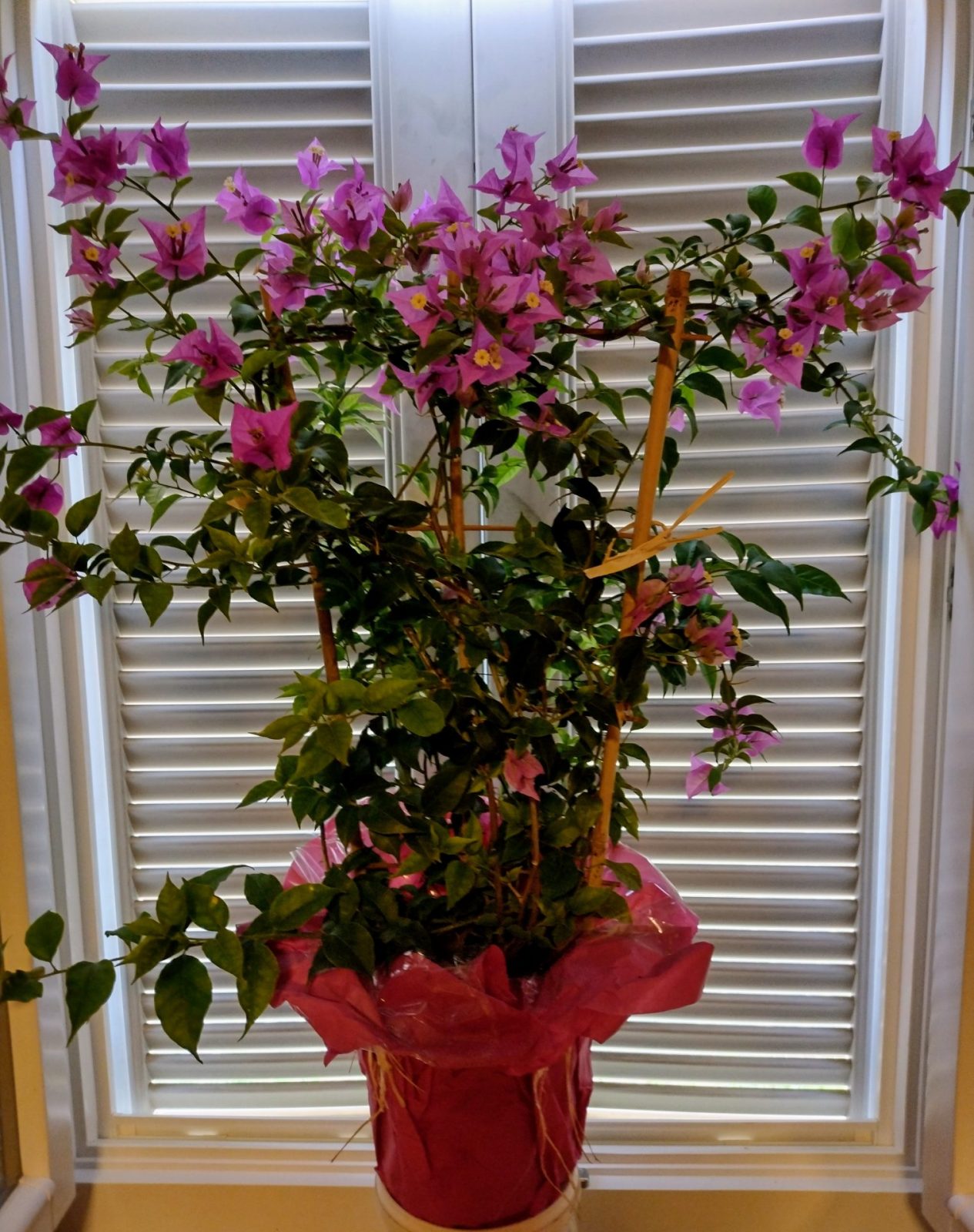 IMG_20220724_102127058_HDR