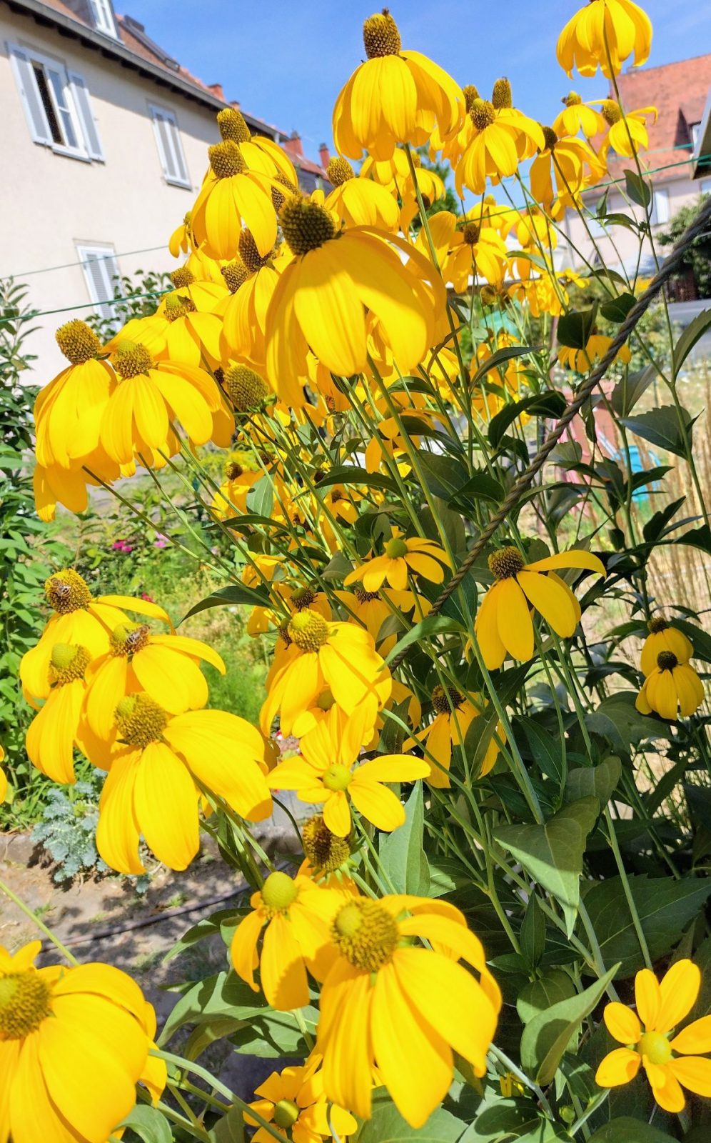 IMG_20220802_104913778_HDR