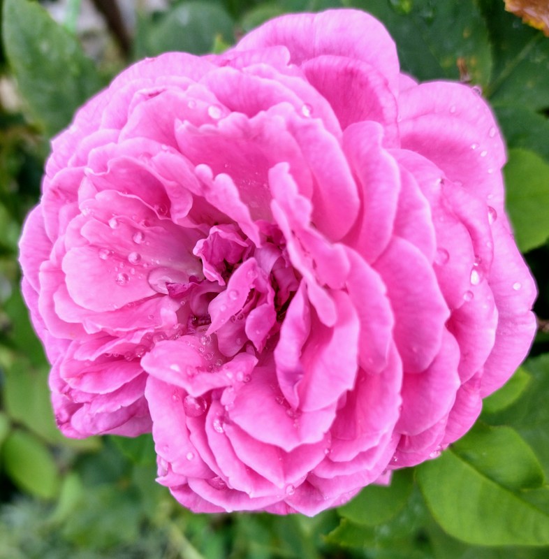 IMG_20220802_174210257_HDR