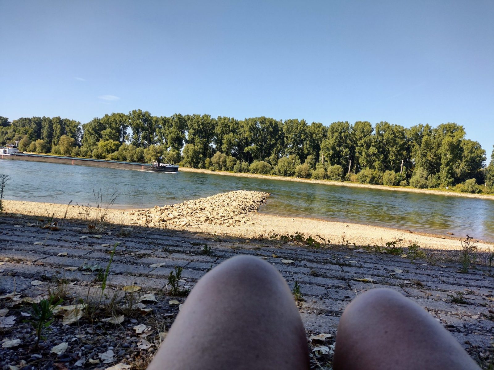 IMG_20220803_172311429_HDR