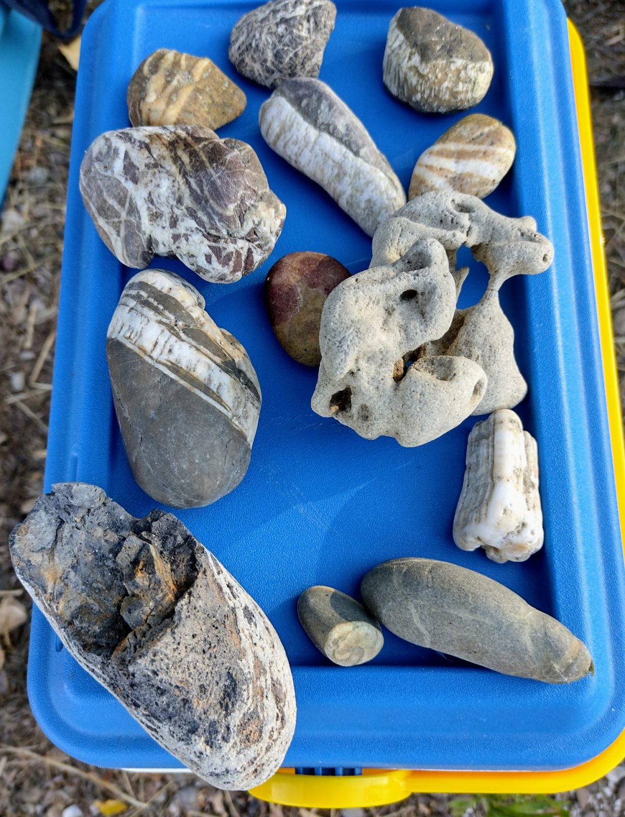 IMG_20220809_185603361_HDR