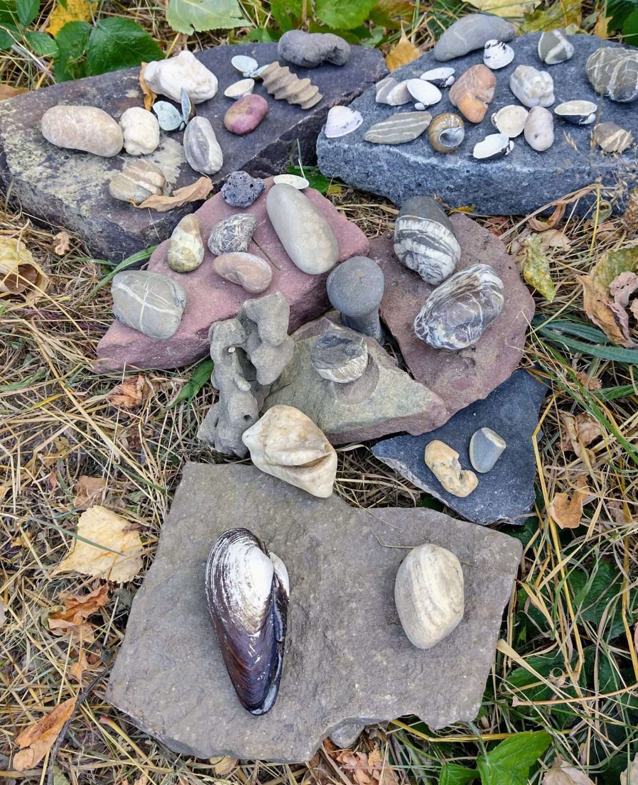 IMG_20220811_170833825_HDR