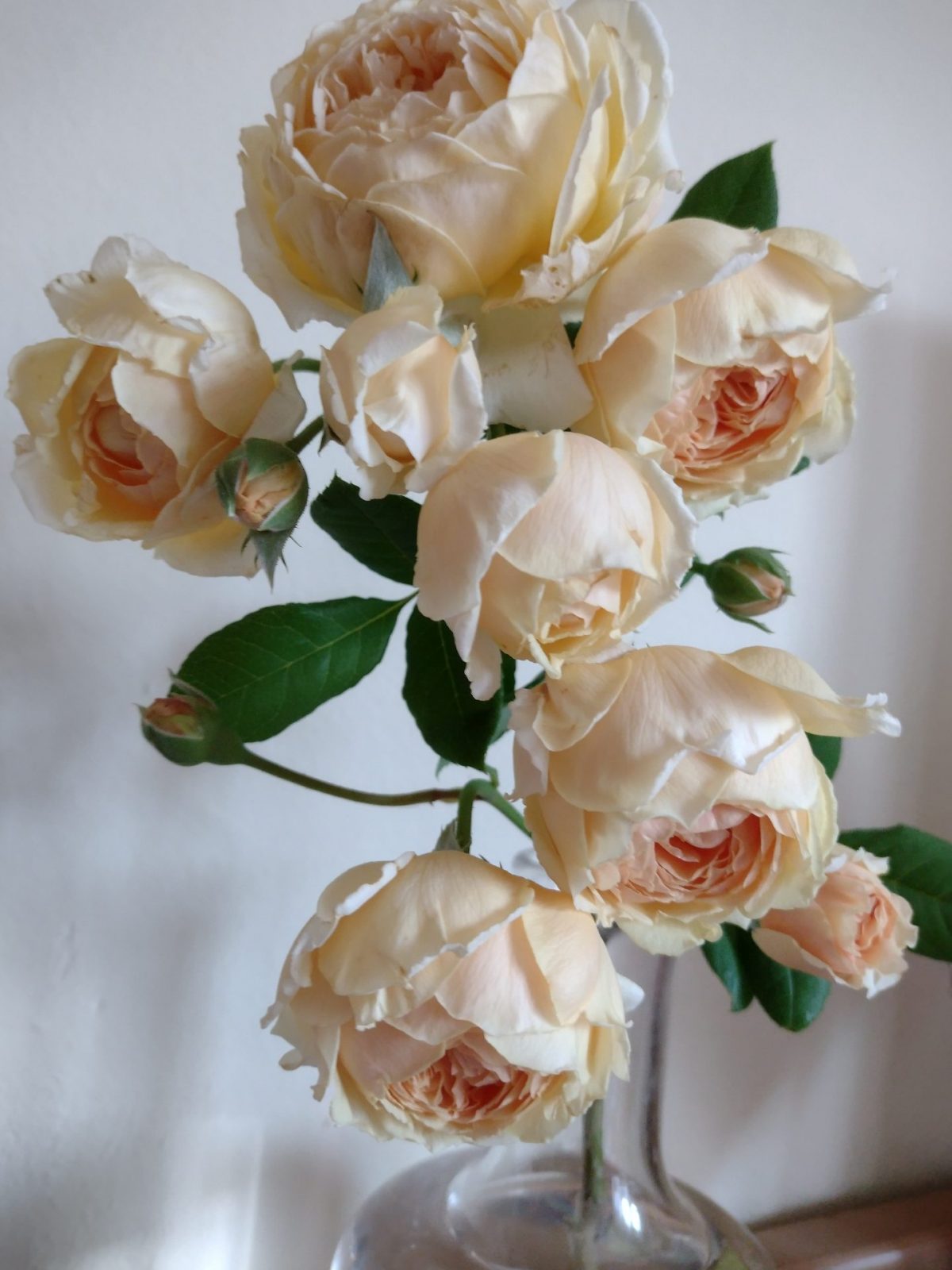 IMG_20220814_070813544