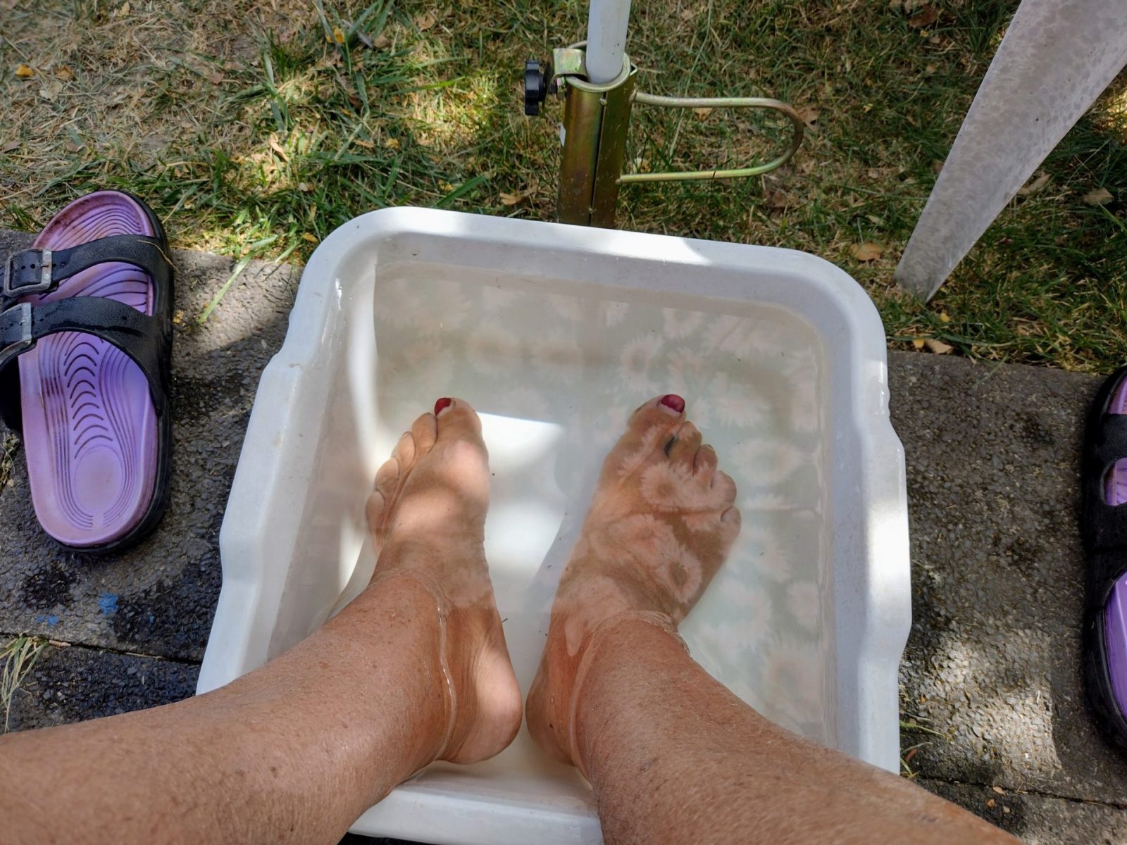 IMG_20220814_154411385_HDR