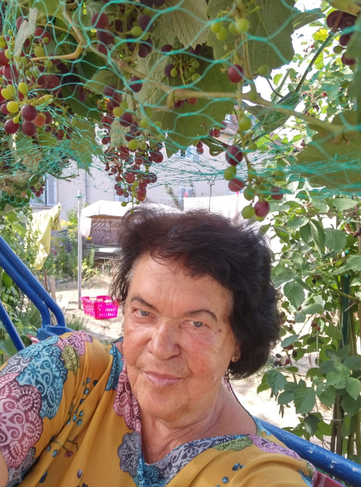 IMG_20220814_155313478_HDR