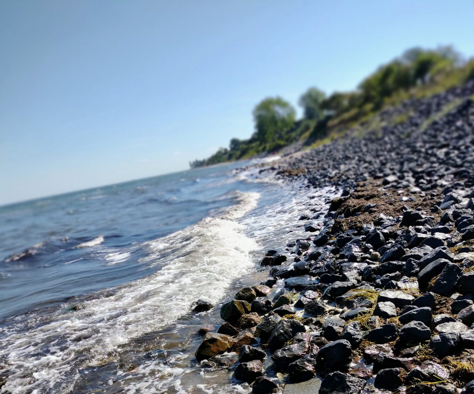 IMG_20220824_151536411_MF_PORTRAIT