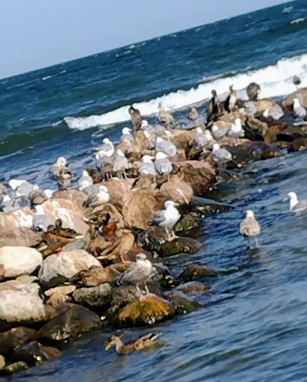 IMG_20220824_152845579