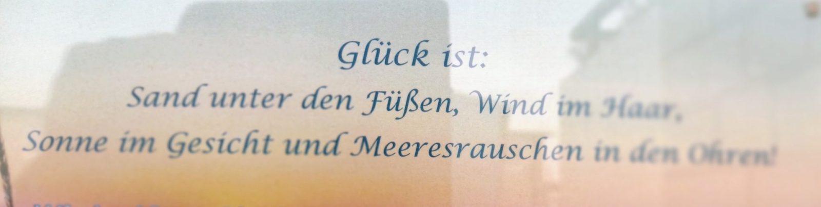 IMG_20220827_093501127_MF_PORTRAIT