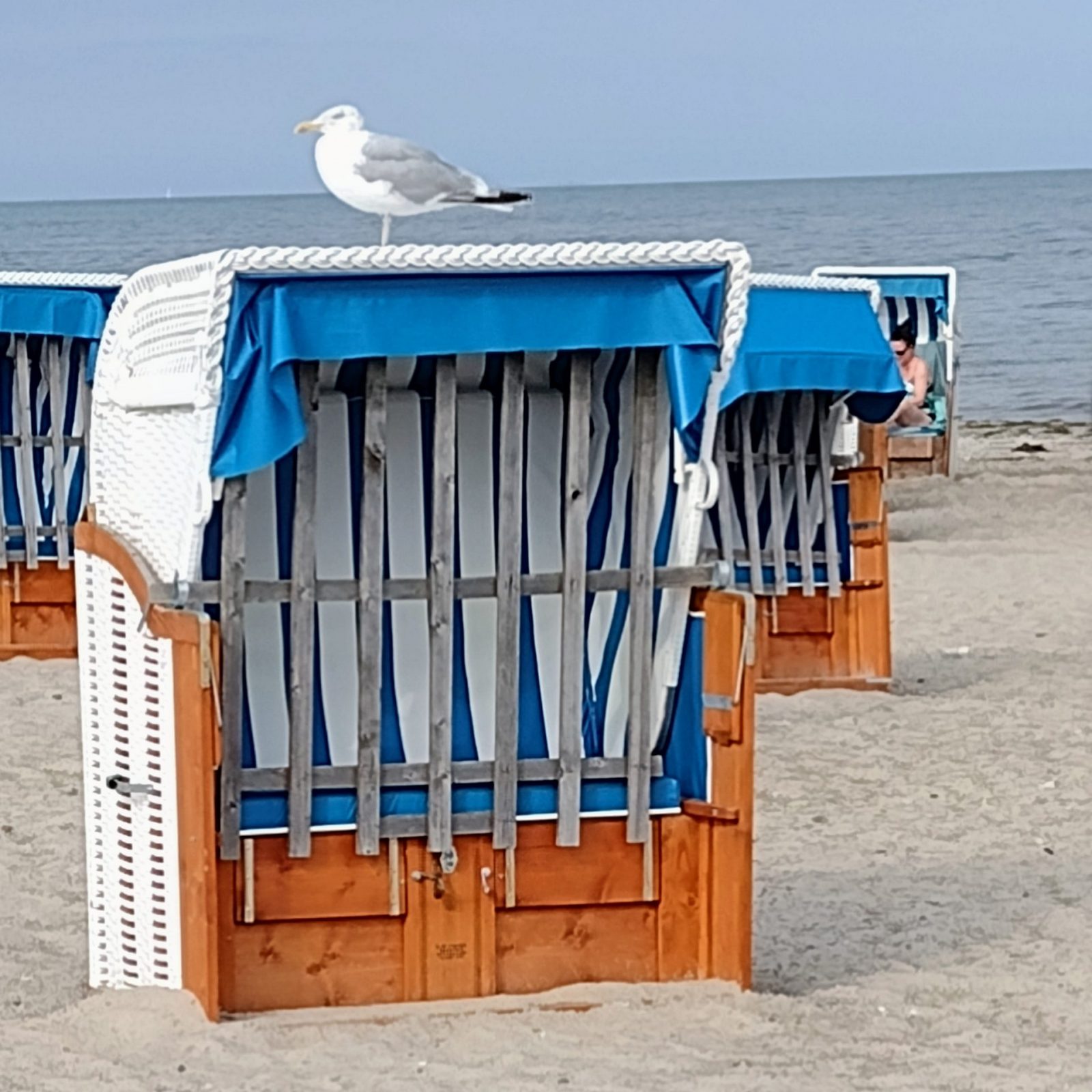 IMG_20220827_163613170