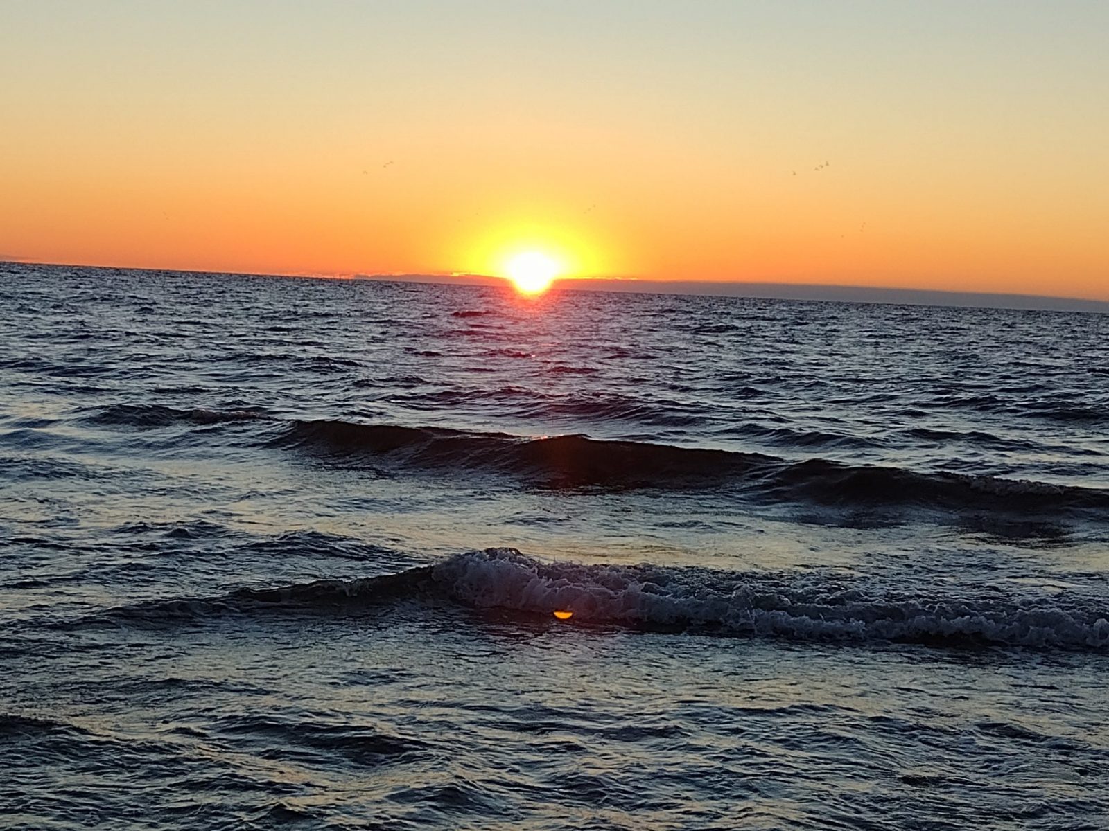 IMG_20220902_062804251