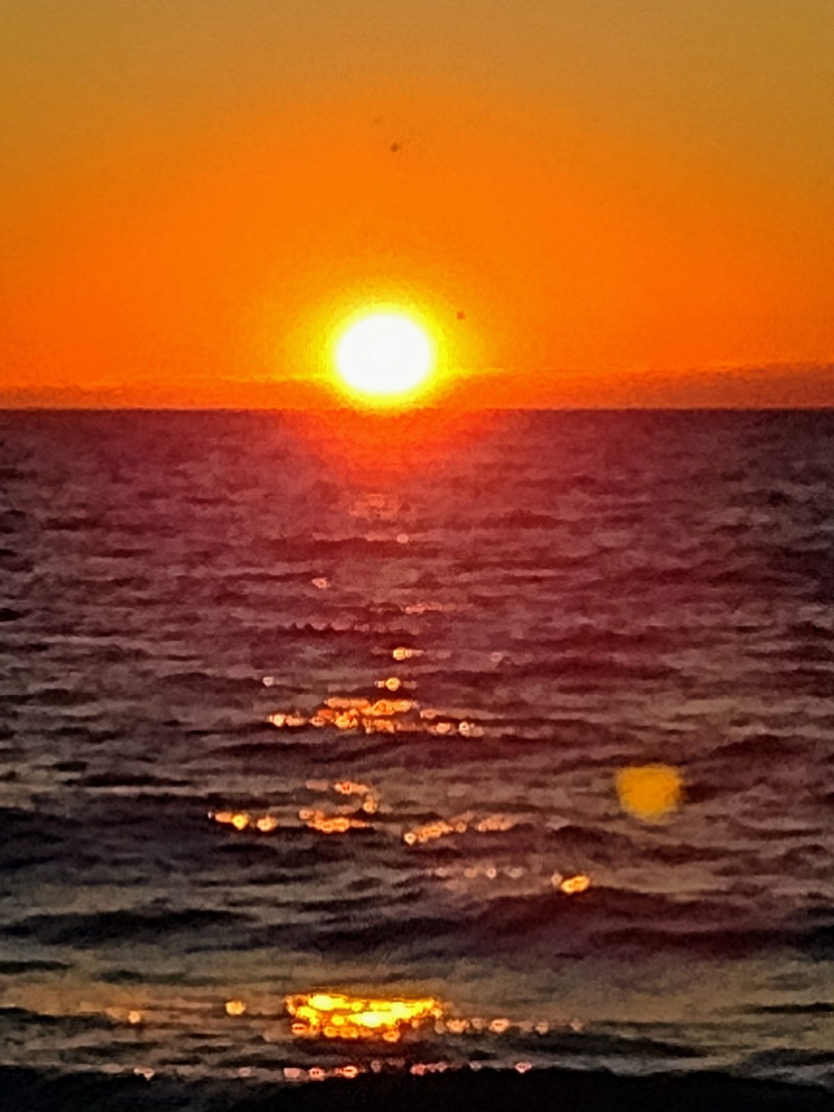 IMG_20220902_063006447