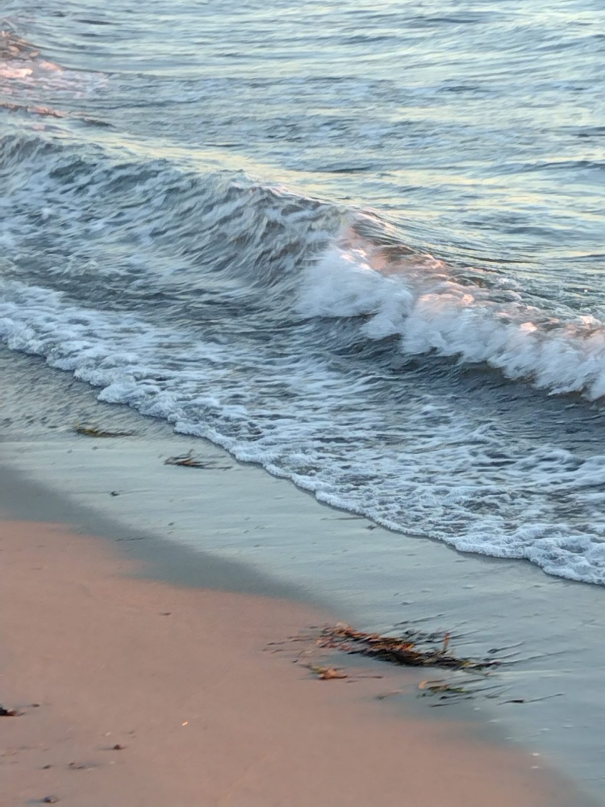 IMG_20220902_063329505