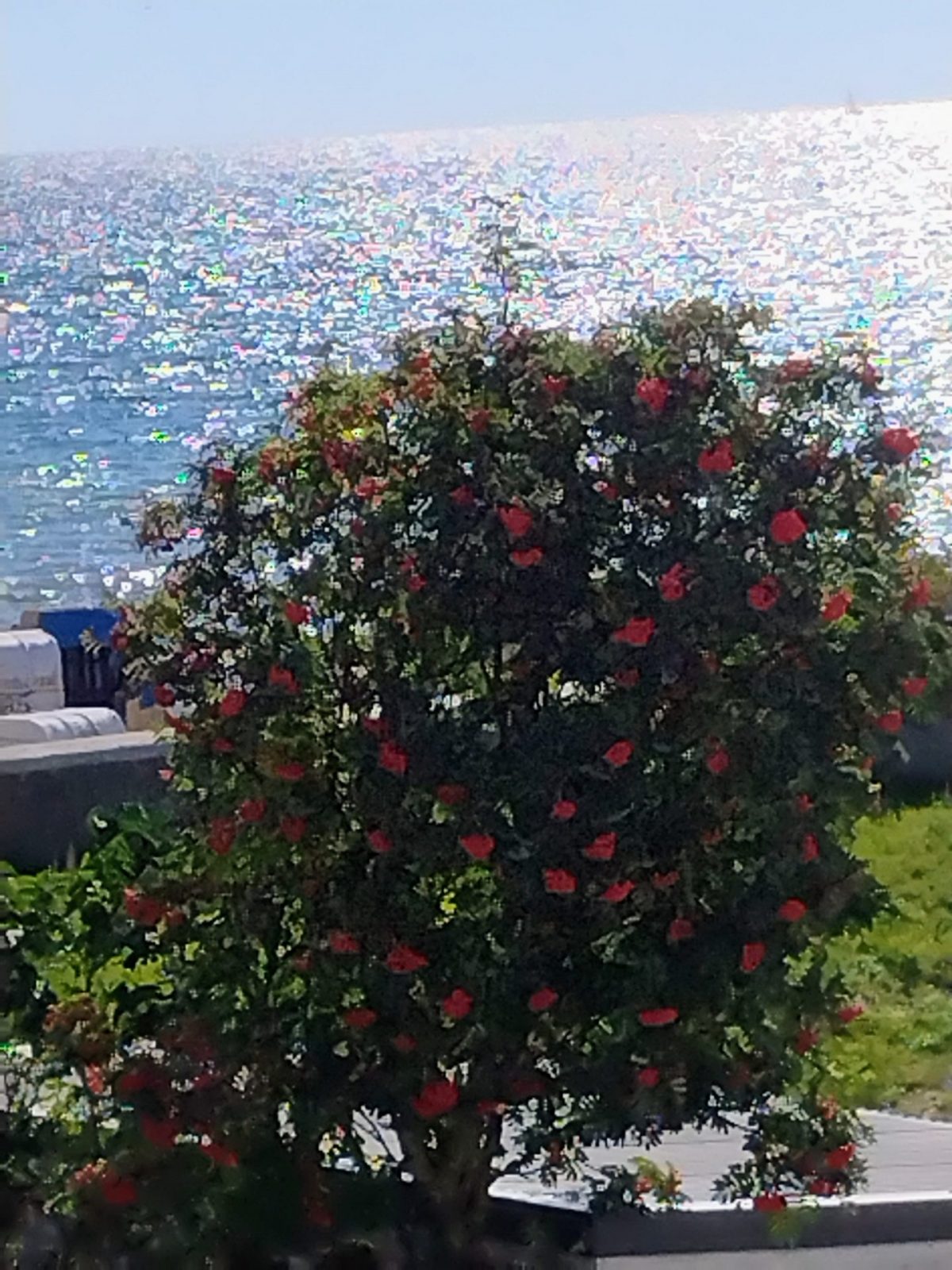 IMG_20220902_101549610