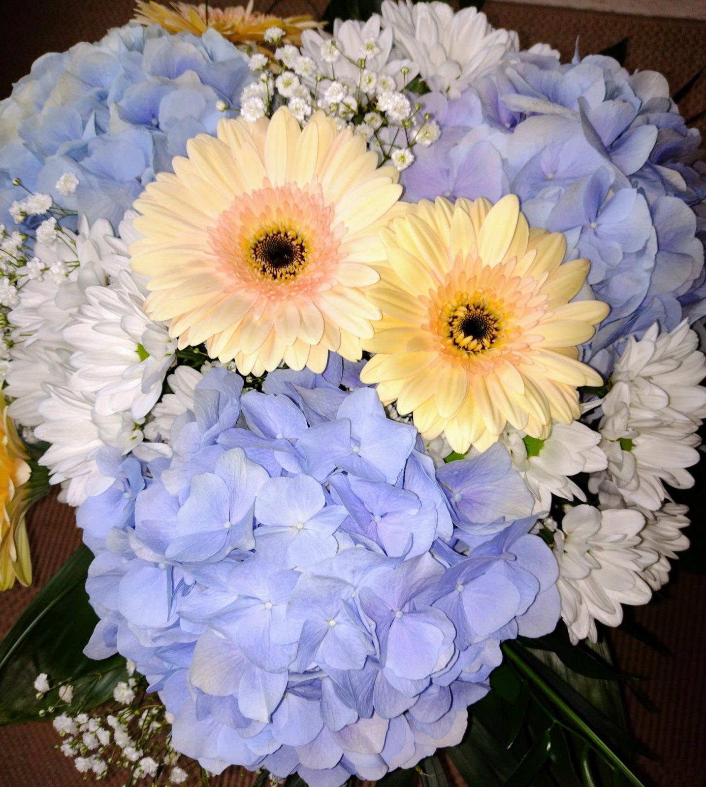 IMG_20220907_174502776