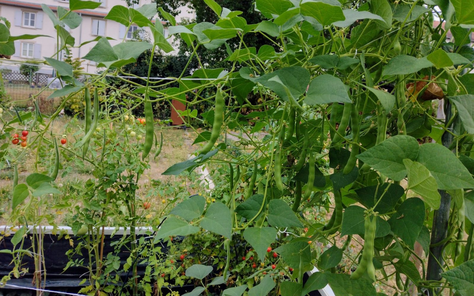 IMG_20220908_155058944