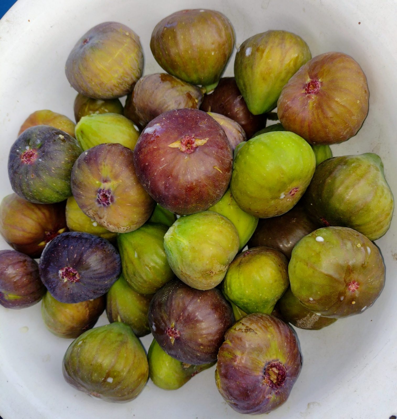 IMG_20220908_165048019