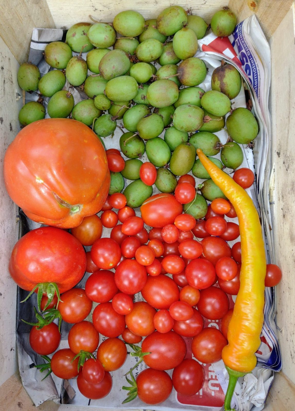 IMG_20220908_165059707