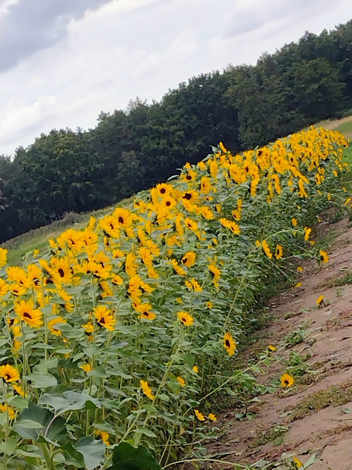 IMG_20220916_102535252