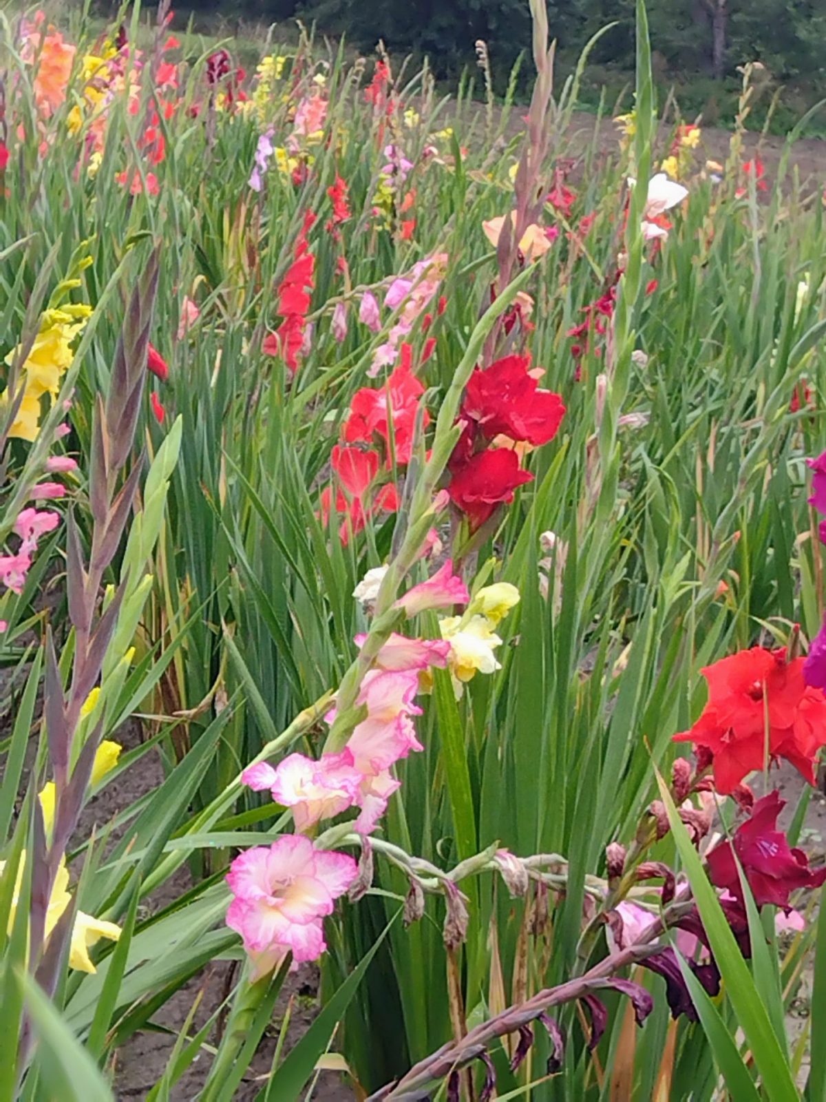 IMG_20220916_102616635