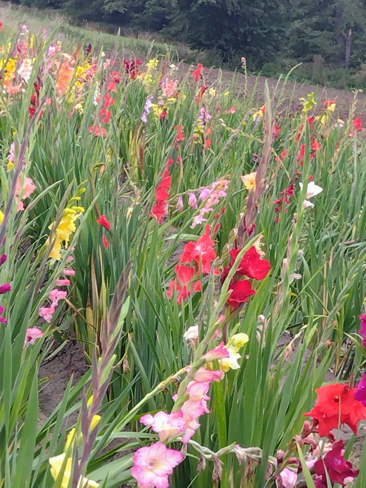 IMG_20220916_102627098