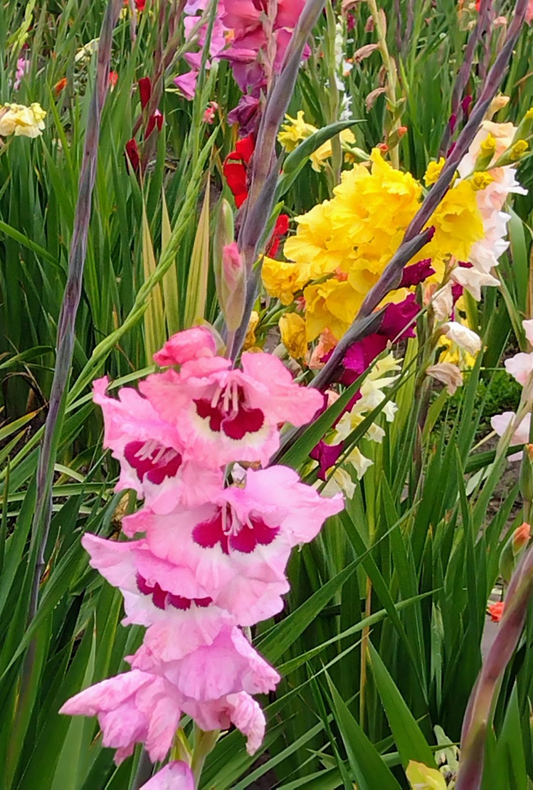 IMG_20220916_102652491