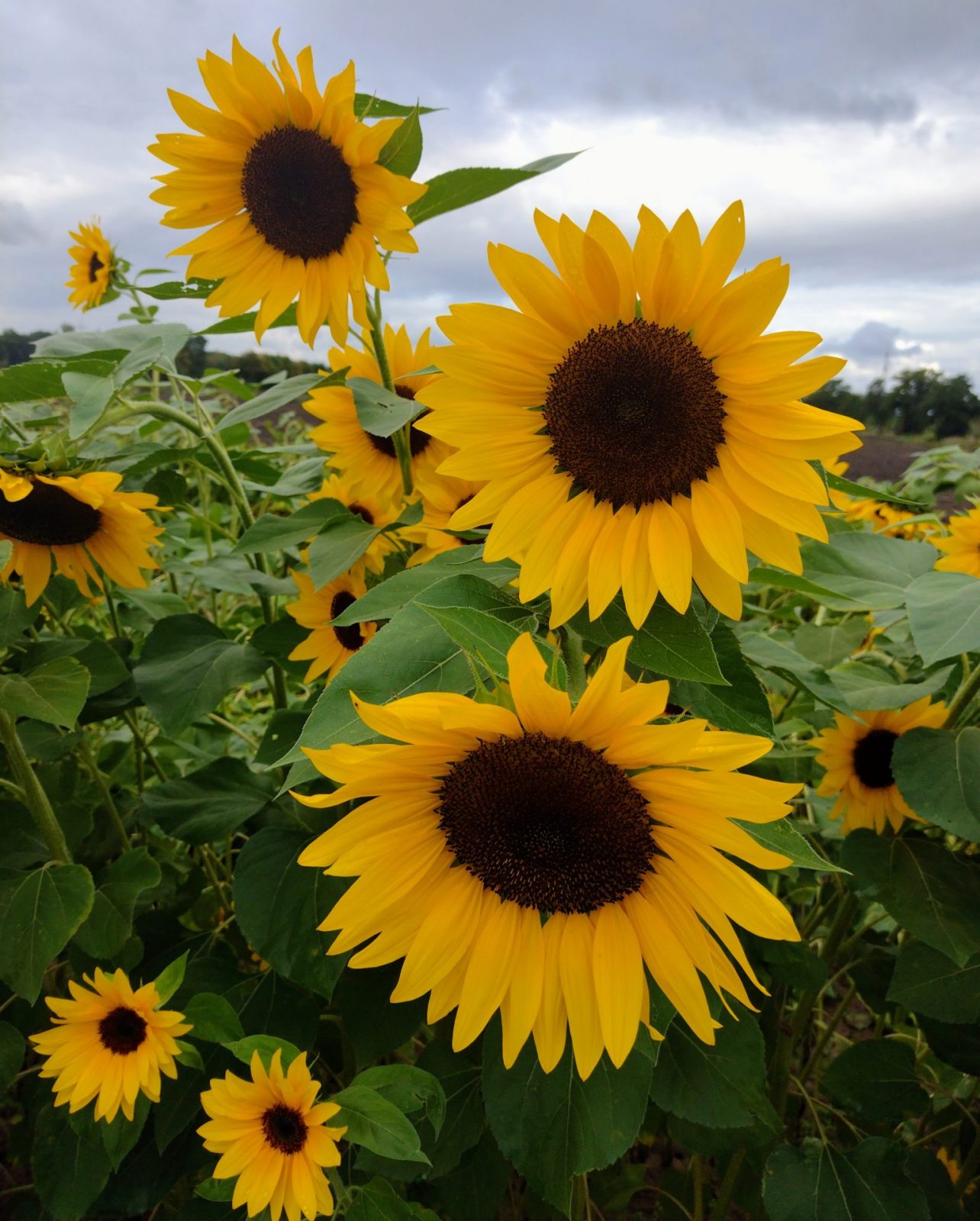 IMG_20220916_102752966 - Kopiert