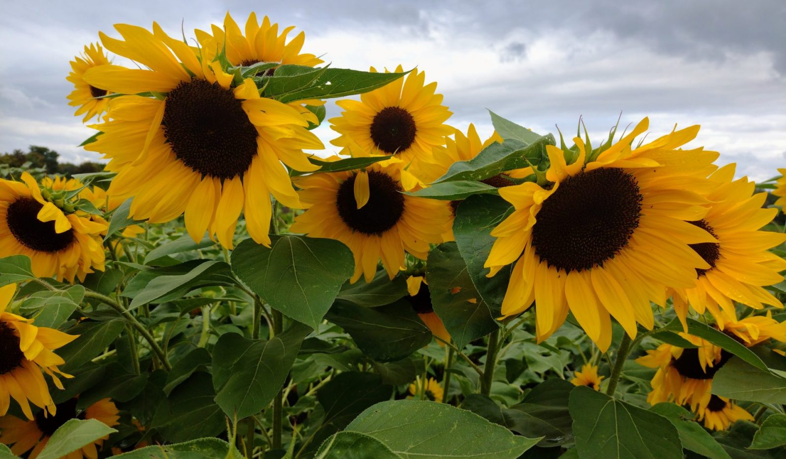 IMG_20220916_102906636