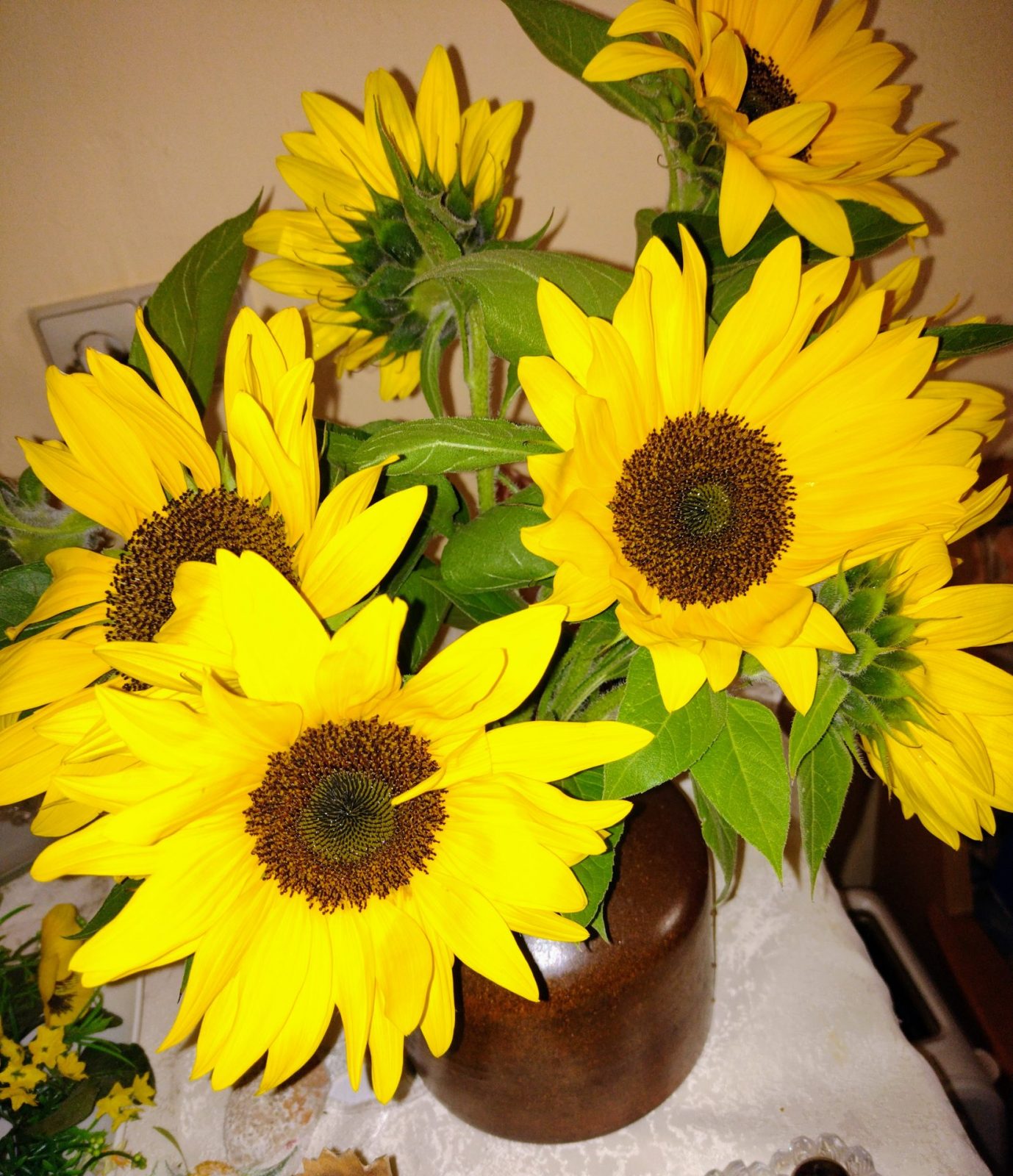 IMG_20220916_123619740