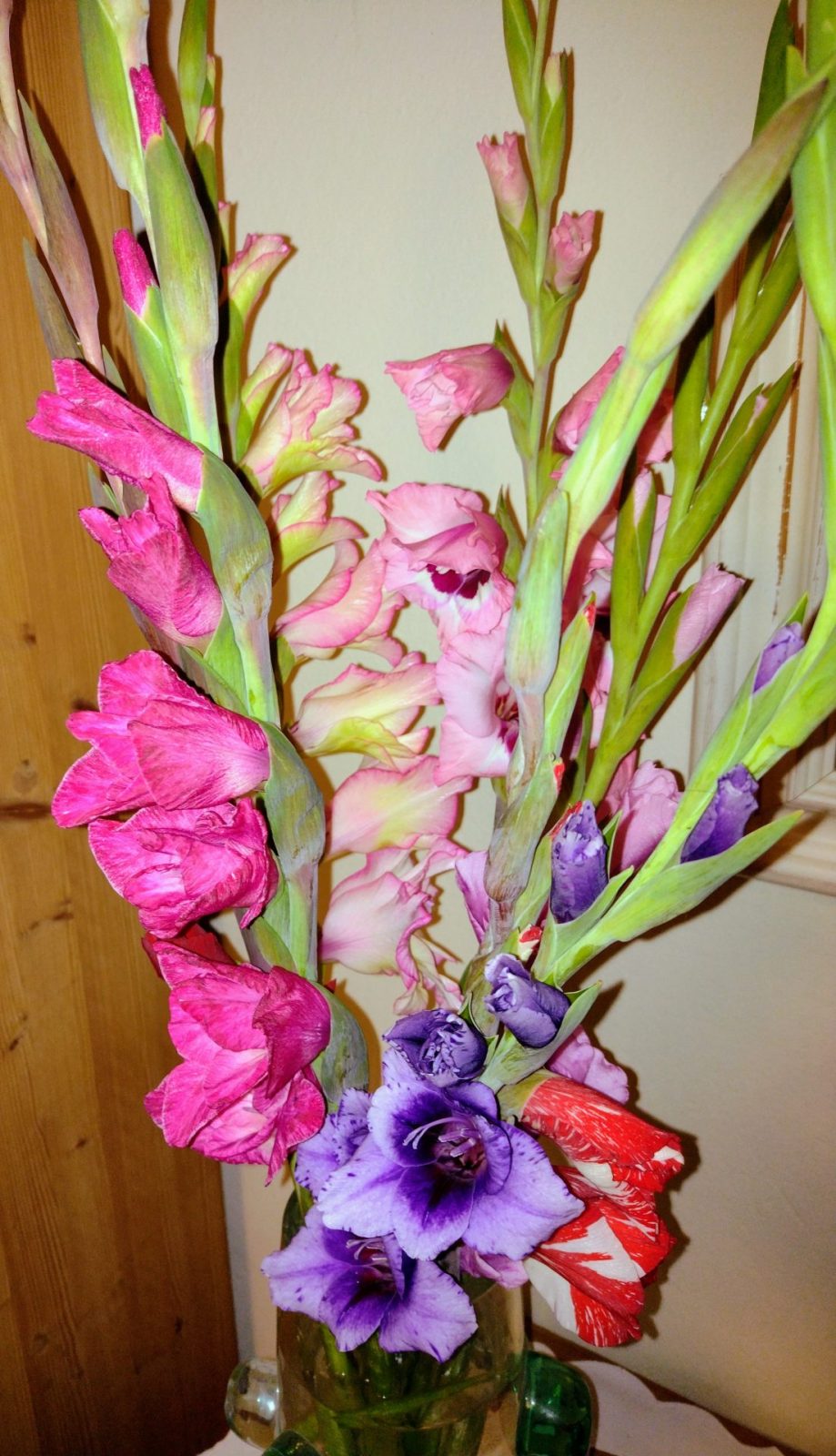 IMG_20220917_073957415