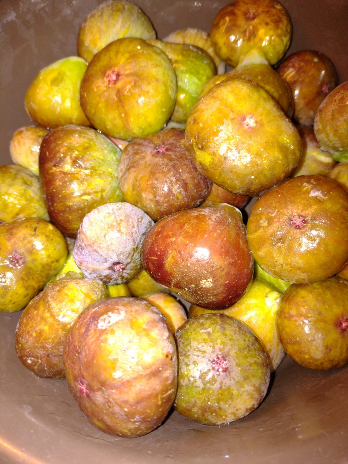 IMG_20220917_104045729