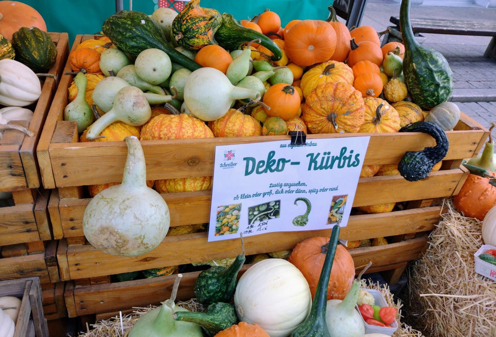 IMG_20220917_111855514