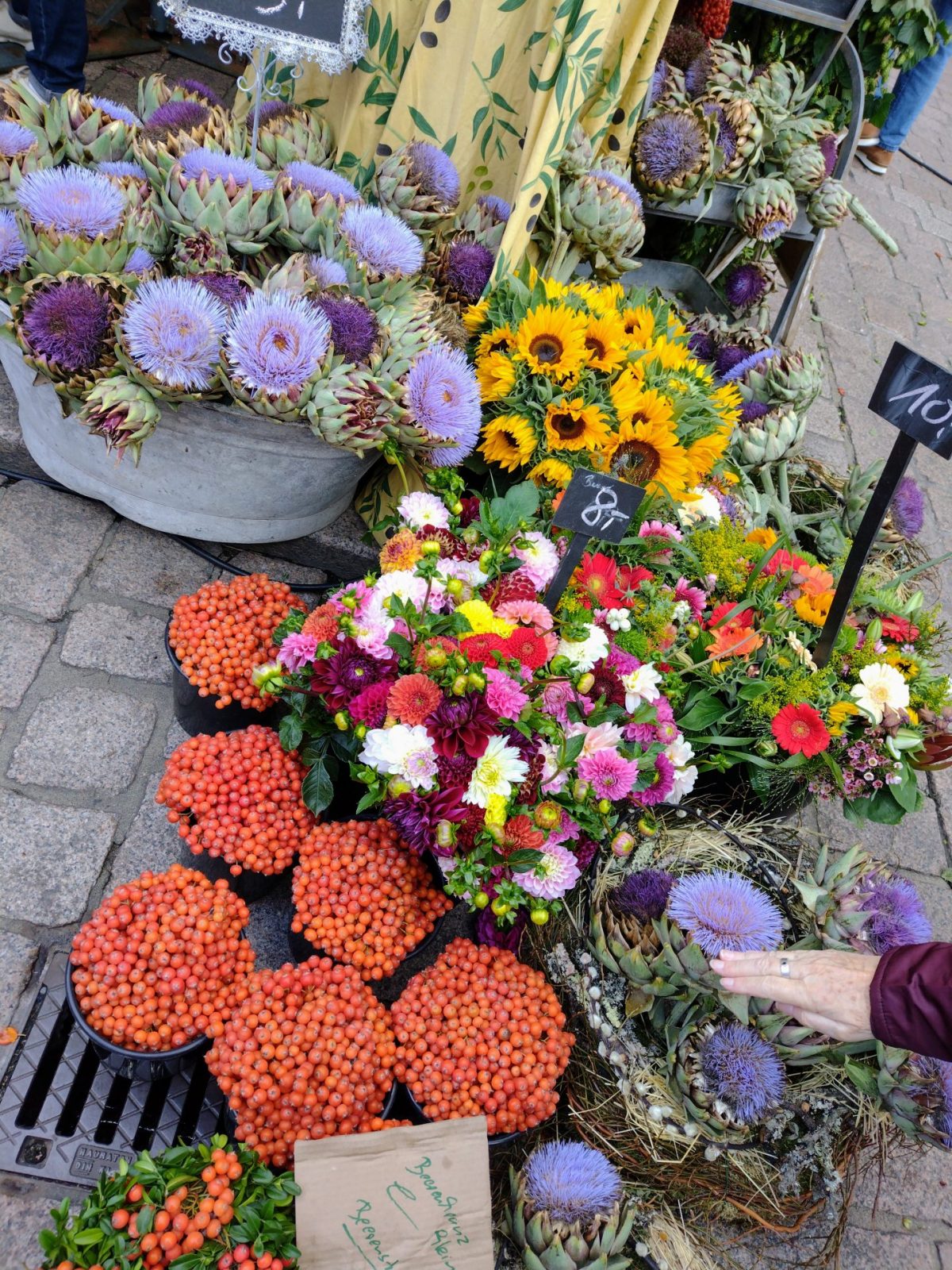 IMG_20220917_112752331